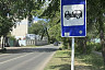 В Энгельсе появится первая площадка для выгула собак  